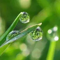 修身养性静心图片唯美 有意境修身养性的图片_微信头像图片大全