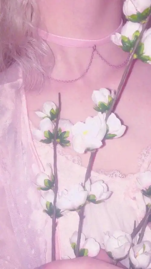 小仙女必备手机壁纸