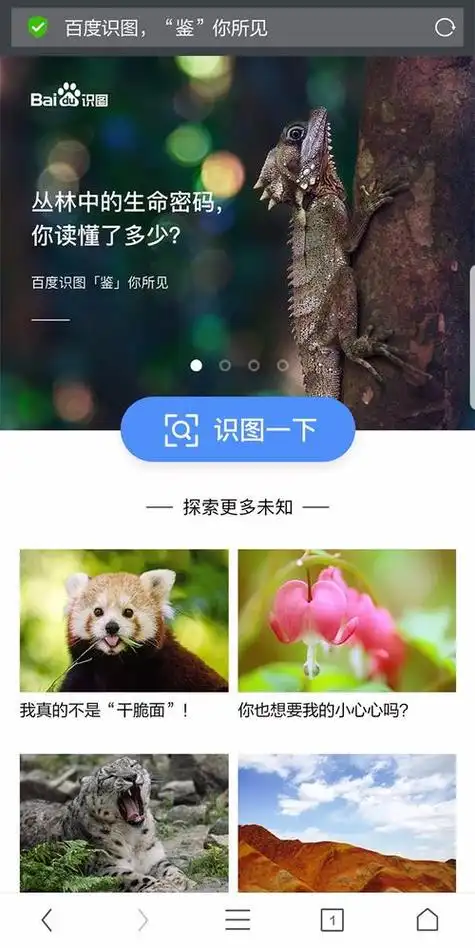百度识图网页入口知乎