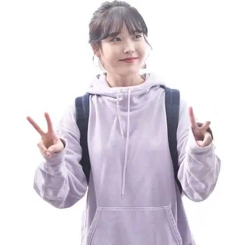 iu李知恩明星同款紫色上衣连帽宽松字母刺绣长袖加绒加厚卫衣女