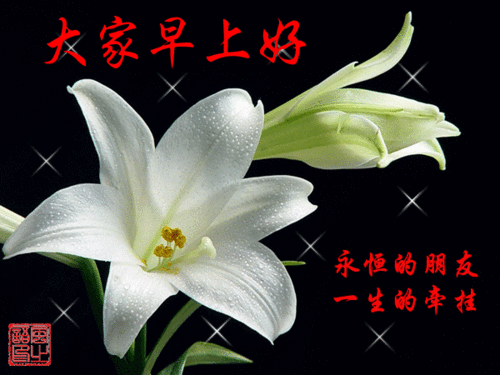 微信早晨好动态图早上好表情组图2019