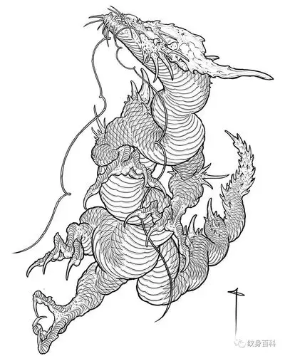 纹身手稿 | 龙线稿_线条