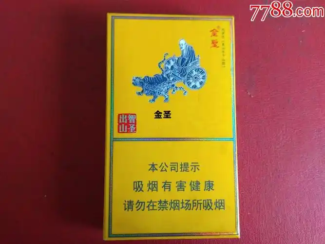 金圣智圣出山_金圣