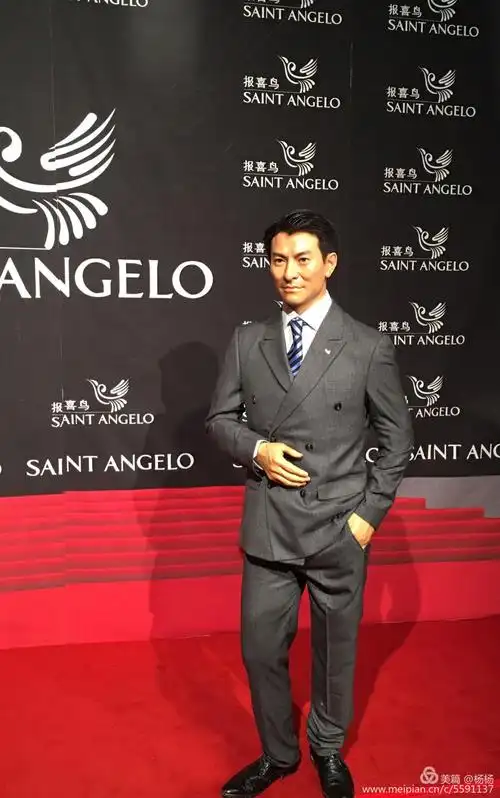 失真了的刘德华.千万别有刘德华的骨灰粉,不知会出什么事