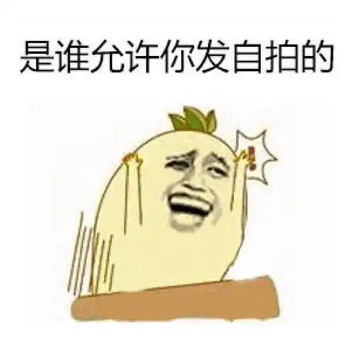 贱表情 谁允许你发自拍的