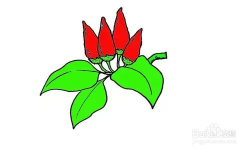 如何画出四个朝天椒?