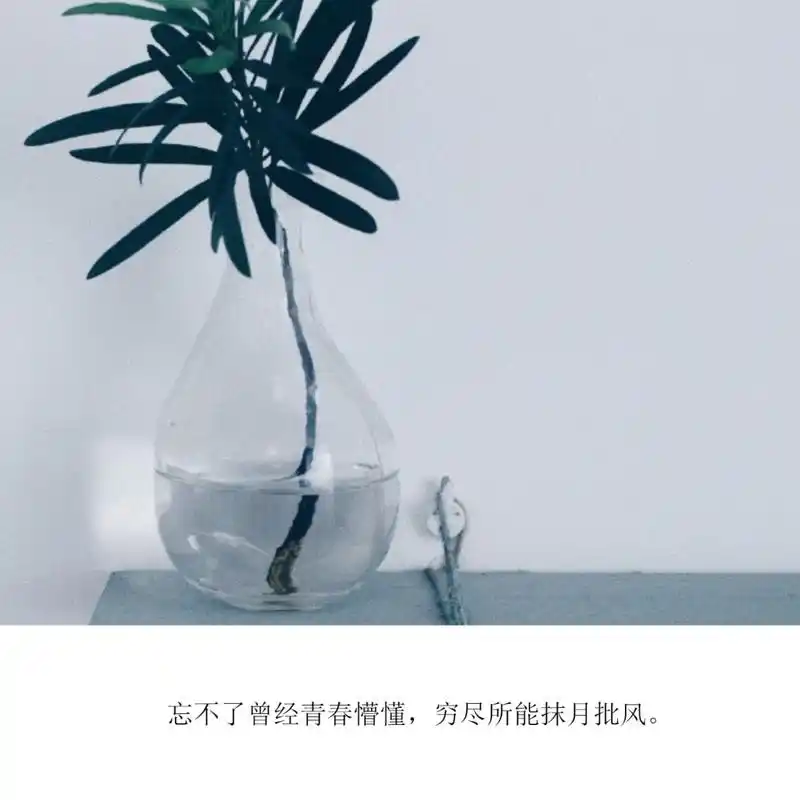 小清新心情配图文图片,文字,小清新,文字,唯美,心情,情感,图文