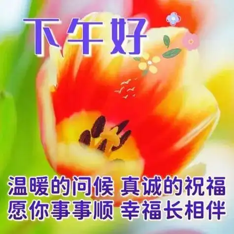 下午好温馨祝福图片,下午好最新表情图,愿您事事顺利