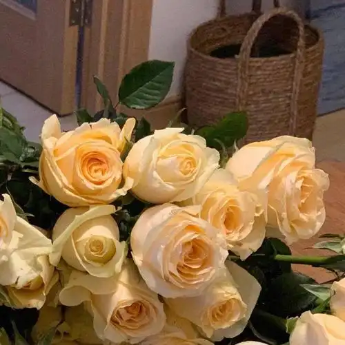 超好看朋友圈背景图