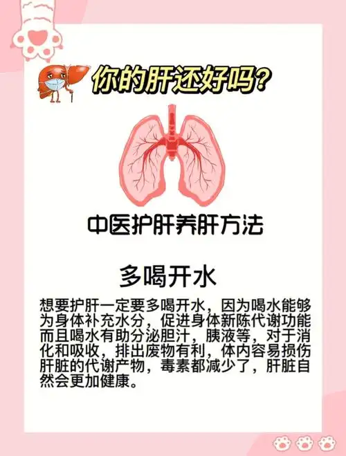 养肝就是养命养肝护肝攻略建议收藏