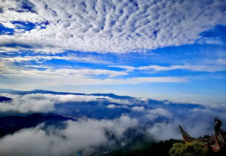 mate40 pro拍照效果不如p20,期盼华为优化改进