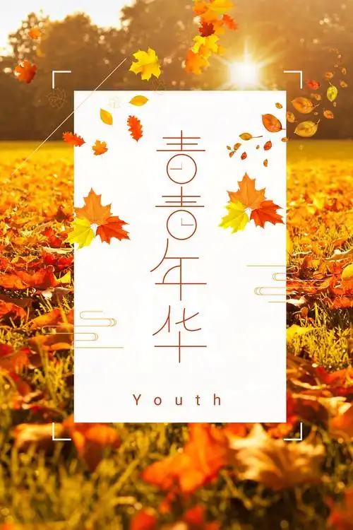 青春年华字体设计