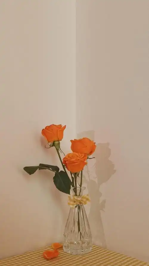 ins风简约温柔生活随景手机壁纸 第二辑