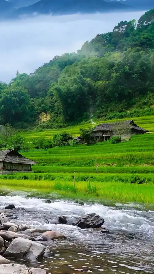 这就是我们的农村,还算得上山清水秀吧?