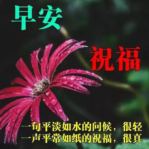 原创朋友圈早上好祝福表情问候图片带字7月最新款早安祝福问候图片