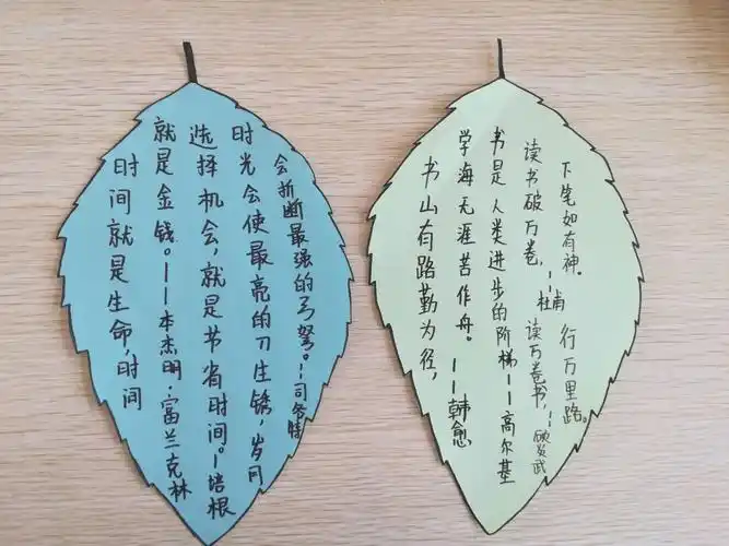 【汝阳思源乐学班杨向婷】快乐读书之制作书签