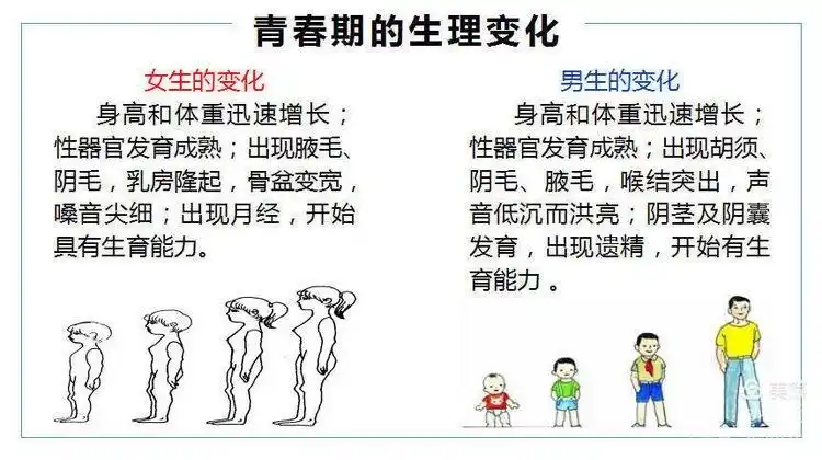 写美篇      青春期是指青少年生理发育和心理发展急剧变化的时期,是