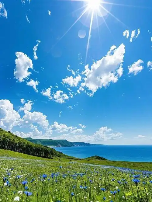 这里有你向往的诗和远方