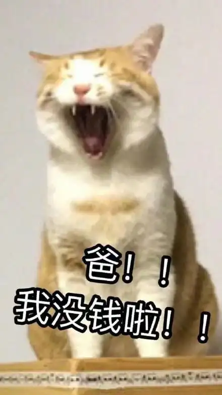 搞笑gif逗gif要零花钱gif可爱gif表情包gif