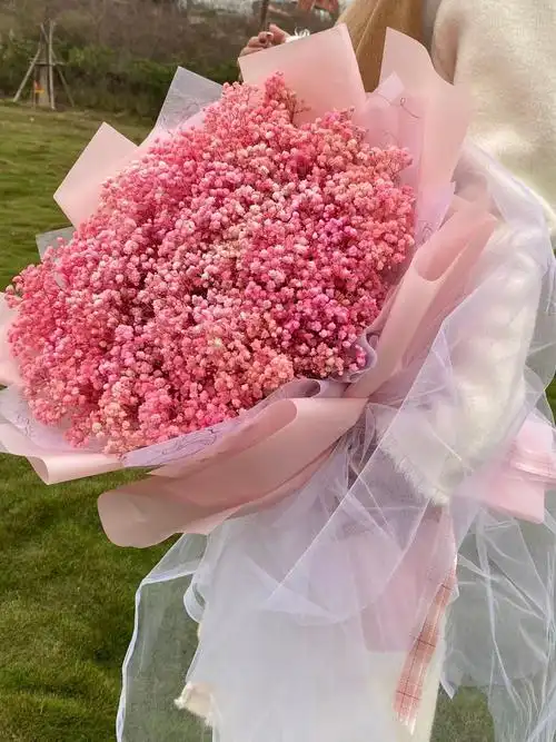 【中筒花】-中筒花厂家,品牌,图片,热帖-阿里巴巴