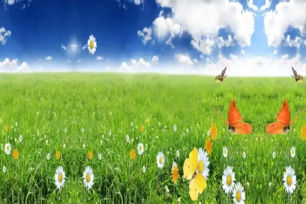 春天高中作文800字【三篇】