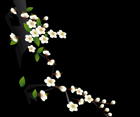 唯美动态图,背景图