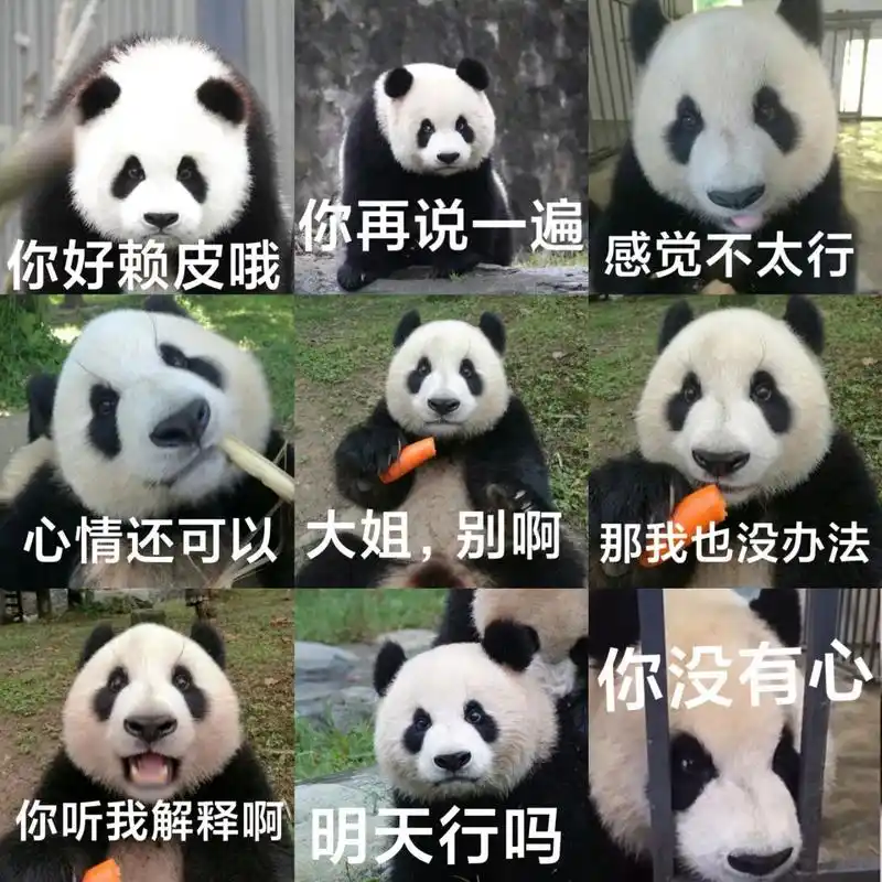 做的表情包自用94 珍不高兴小时候经常一脸的不高兴,又奶凶奶凶的