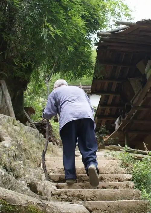 父母老了是不是要和他们住在一起呢看看就知道了让人深思