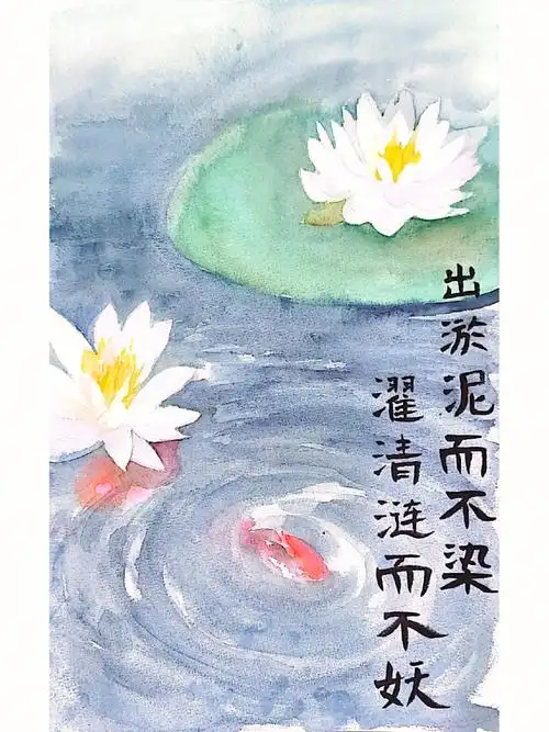 出淤泥而不染濯清涟而不妖