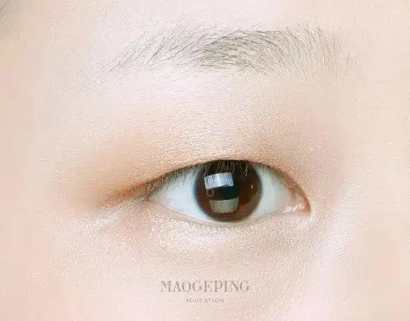 单眼皮怎么画眼线&眼影?下垂眼,丹凤眼,肿泡眼统统搞定!(2)—【财理财