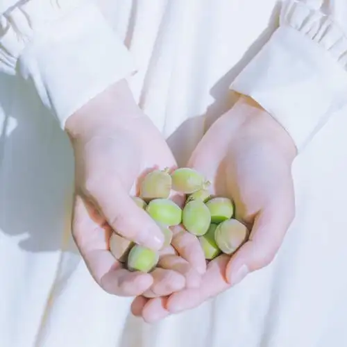 文艺森系简约女头像