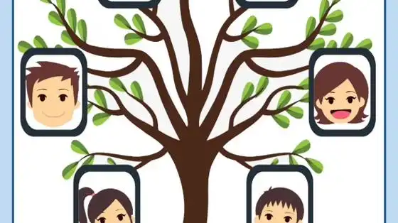手抄报素材家庭树family tree