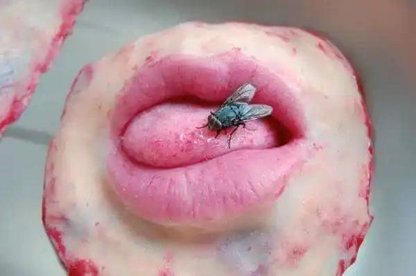 虽然他的创作都相当恶心,猎奇,不过幸好不是真的人皮.