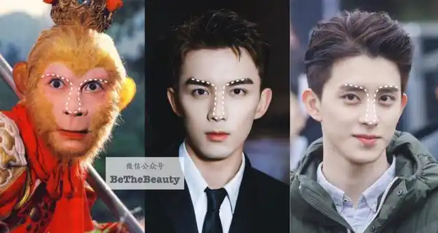 王鹤棣和吴磊谁火(王鹤棣vs吴磊猴系帅哥)(11)