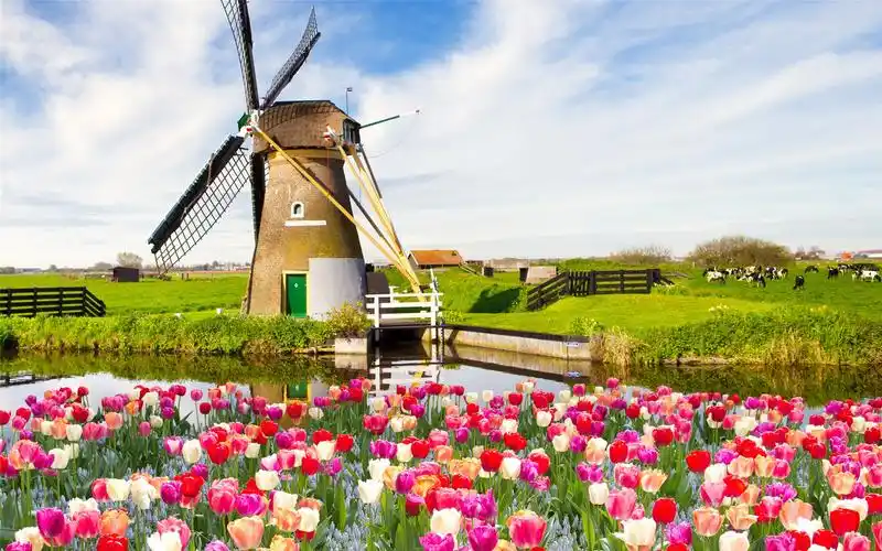 好看的欧洲田园风光风车唯美图片桌面壁纸下载