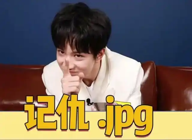 敖子逸你是我心中的北极光