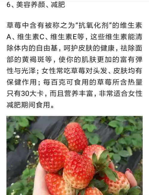 草莓的功效与作用