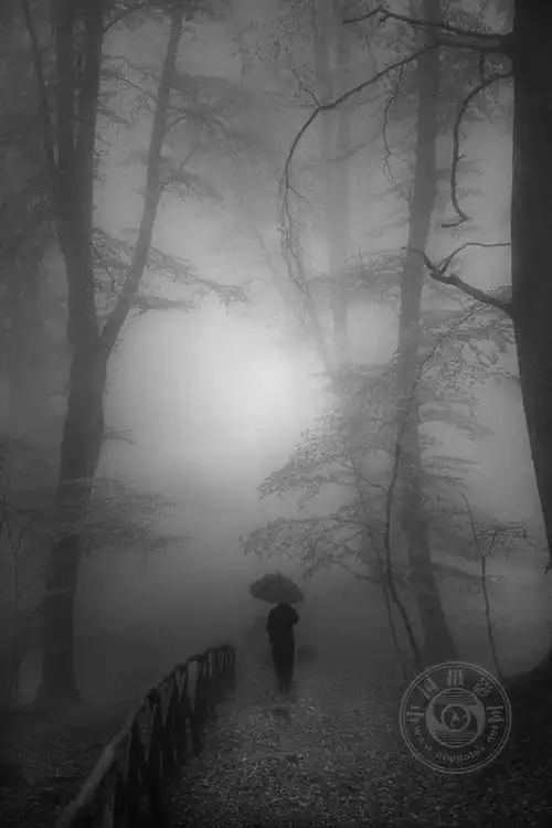 专业组2023年国际黑白摄影大奖赛获奖作品公布风光类