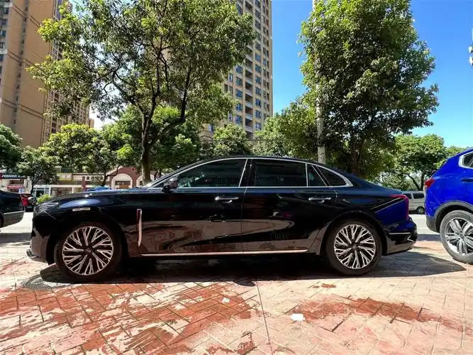 洗个车车,买个花花,车是真帅,花是真好看!#全新红旗h5 - 抖音