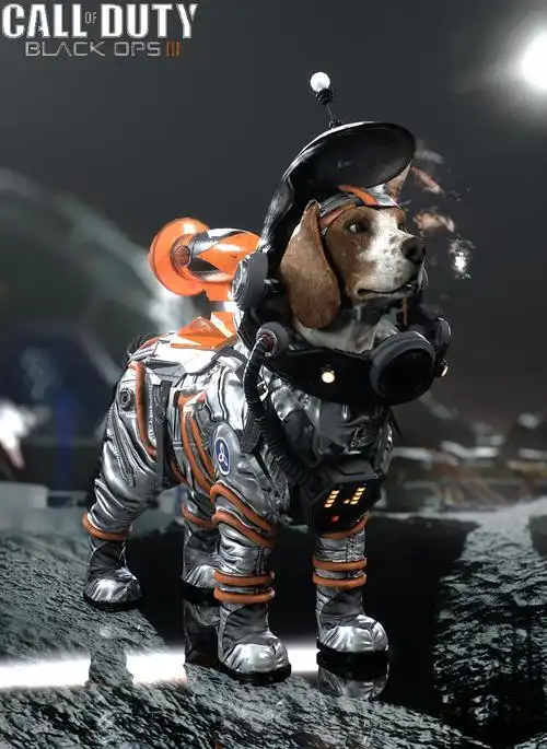 一只可爱的太空狗