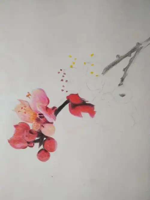 看完这个教程,零基础也能手绘一枝梅. - 简书