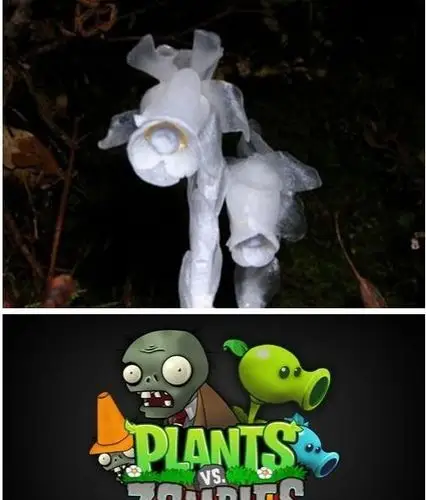 美食 有机蔬菜 简暄采集到花花草草  采集 水晶兰,植物大战僵尸.