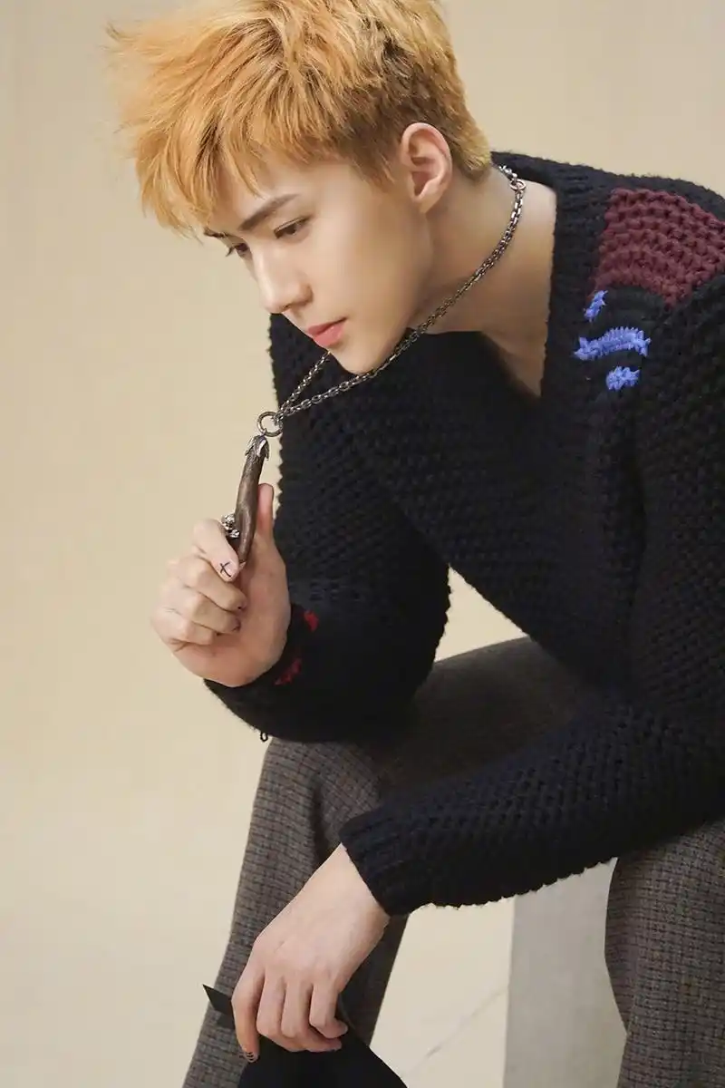 exo吴世勋最新时尚写真帅气图片