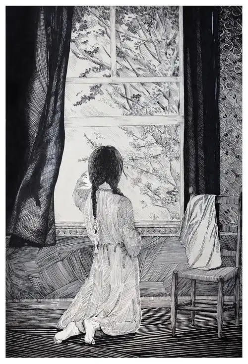 绿山墙的安妮手绘插图