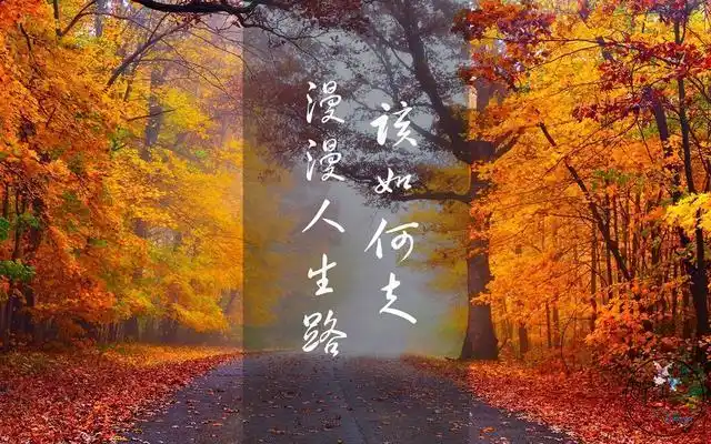 切记人生没有一帆风顺生活没有万事如意