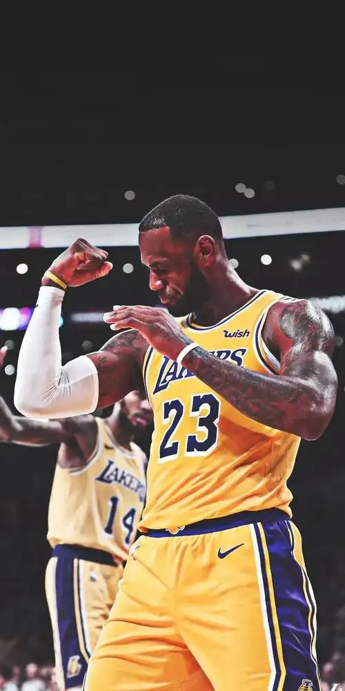 湖人队的詹姆斯,高清图片,手机壁纸
