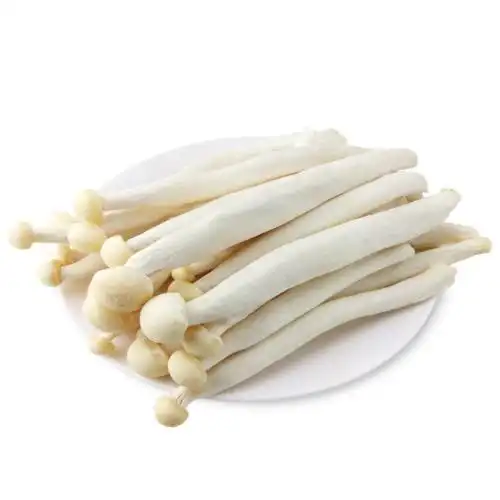 兴芦海鲜菇去根盒装500g