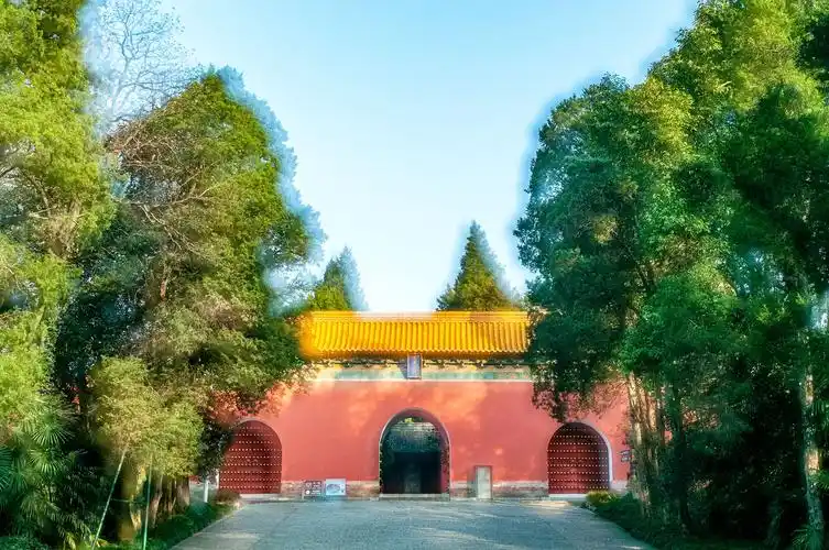 孝陵初冬的清晨(2020.12.06)