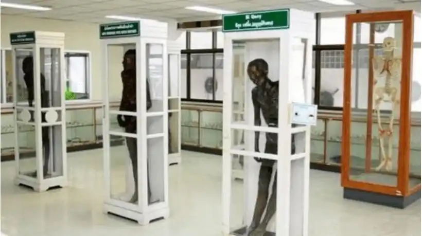 堪称全球最恐怖泰国死亡博物馆展出真人遗体标本