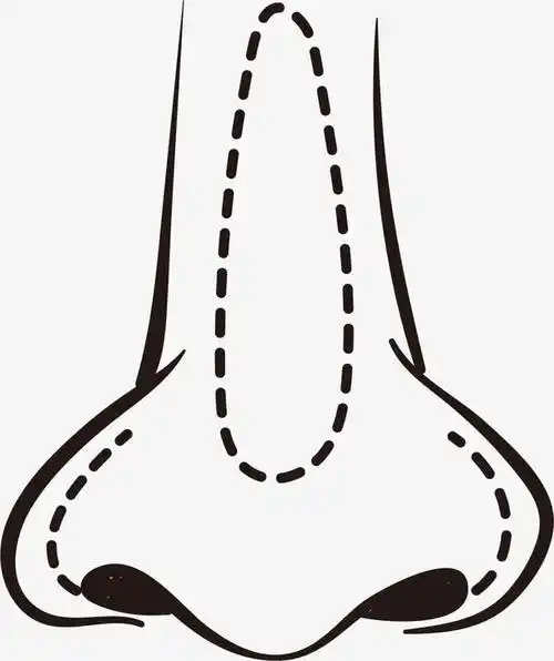 手绘五官鼻子免抠素材免费下载_觅元素51yuansu.com